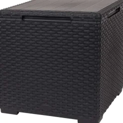 Merk Tuinmeubelen^Allibert 2-In-1 Opbergbox En Tafeltje