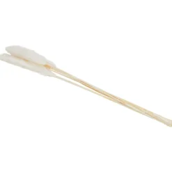 Green Boots Zaaien & Planten^Droogboeket