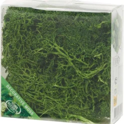 Merk Seizoensdecoratie^Home Accents Decoratief Mos