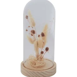 Merk Woonaccessoires^Stolp Met Droogbloemen En Licht