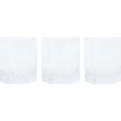 Royal Leerdam Glazen^Whiskyglazen