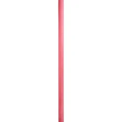 Intex Waterspeelgoed^Zwemnoodle